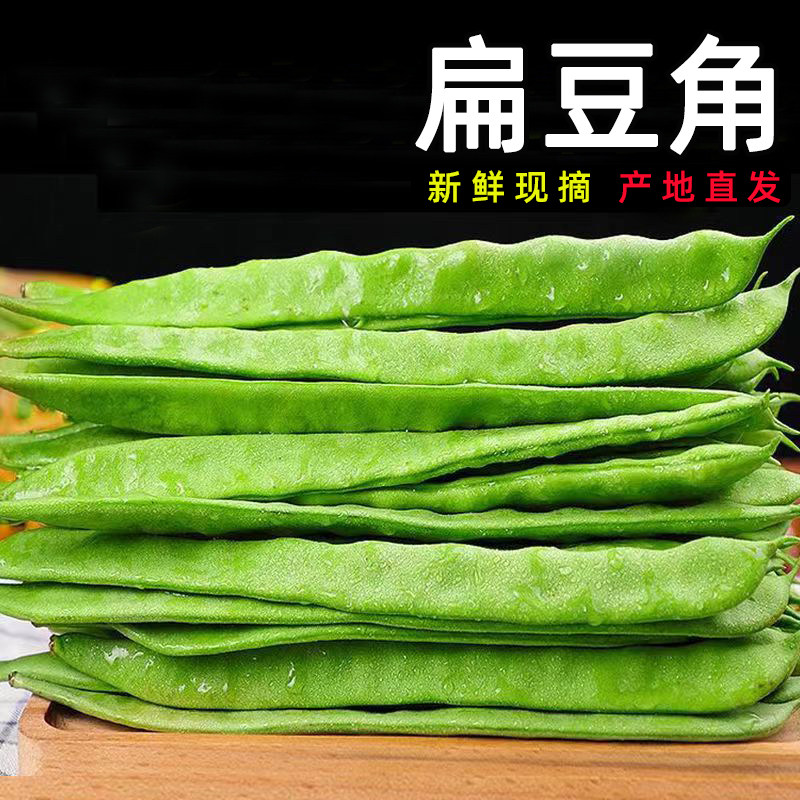 四季豆新鲜现摘云南农家扁豆角