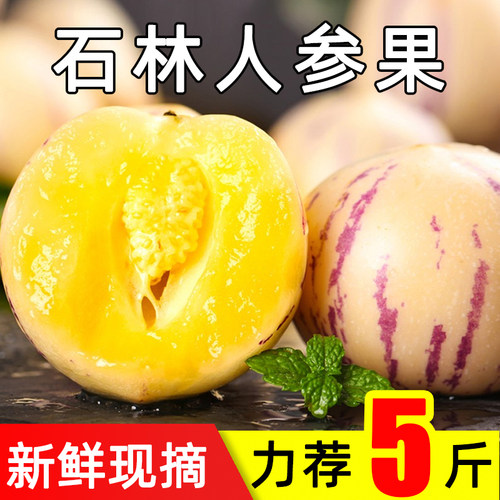 人参果新鲜云南石林人叁果圆果人生果娃娃果七彩黄肉水果5斤整箱