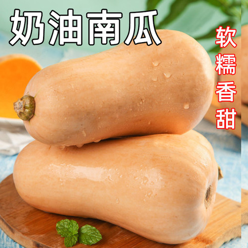 奶油南瓜新鲜现摘农家时令蔬菜