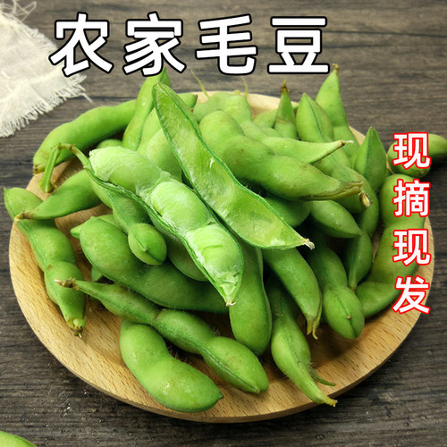 新鲜现摘毛豆5斤农家角当季蔬菜