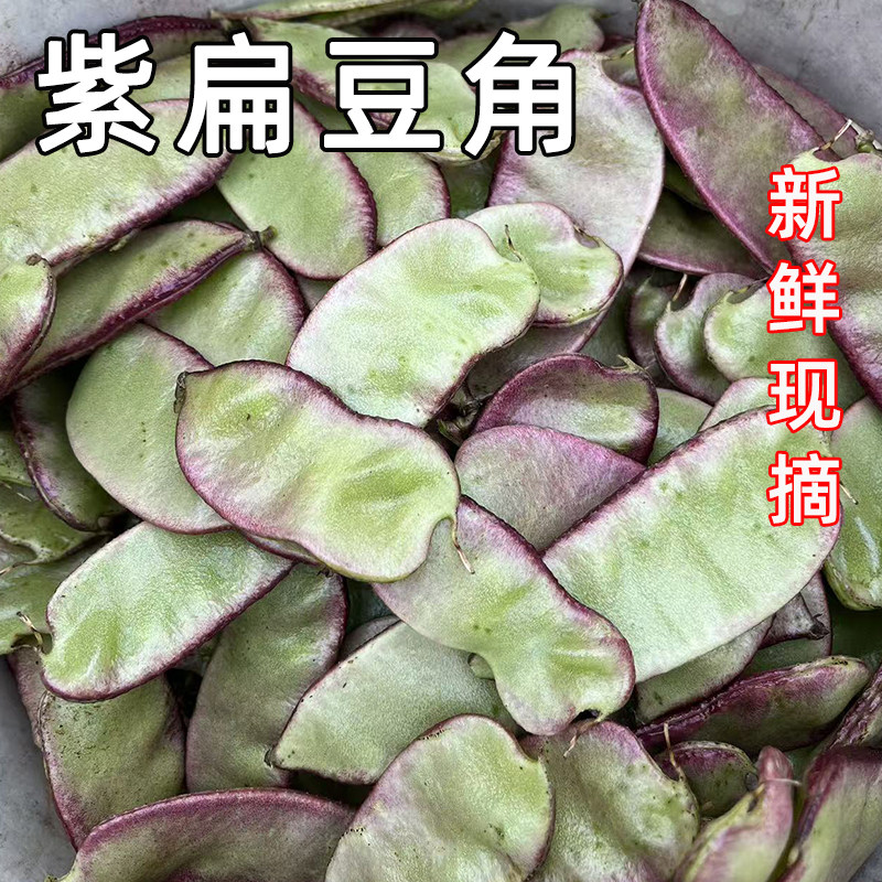紫边扁豆角新鲜现摘农家露天时令当季蔬菜红扁豆荚芸豆峨眉豆特产,水产肉类/新鲜蔬果/熟食,新鲜豆类,淘宝优惠券,粉丝福利购,淘宝优惠卷