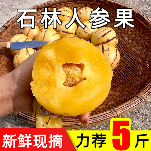 云南当季石林人参果新鲜现摘黄肉水果人生果圆果娃娃果七彩清甜果
