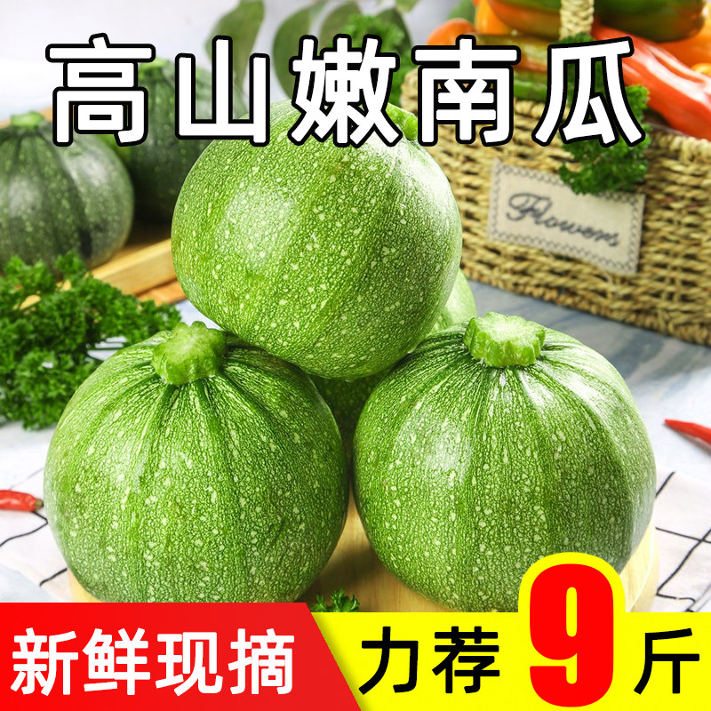 嫩南瓜新鲜现摘贵州小南瓜当应季农家蔬菜软糯小青瓜脆嫩整箱包邮