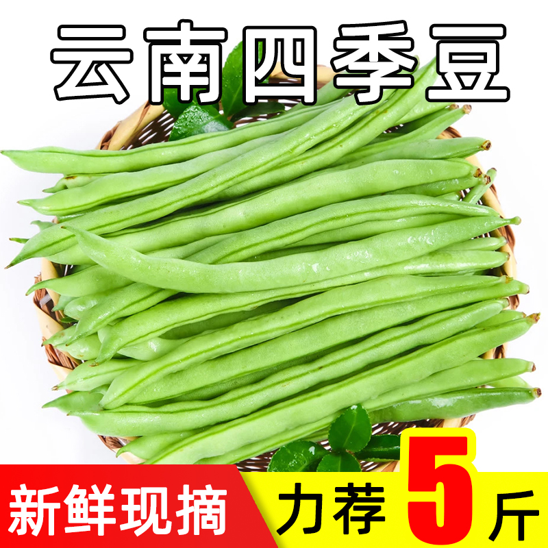 新鲜现摘四季豆云南农家自种