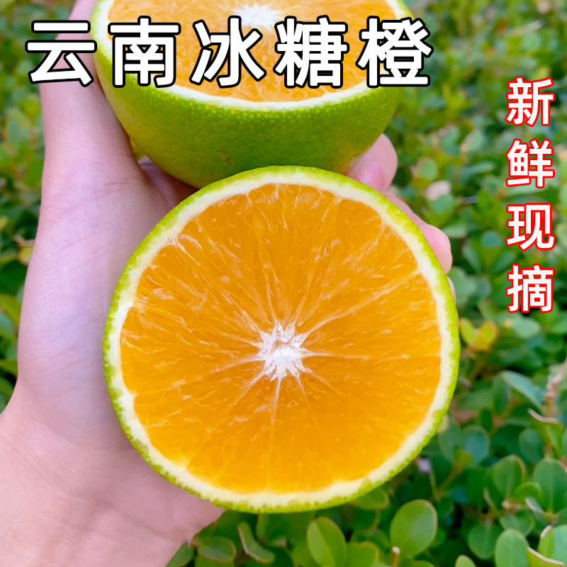 冰糖橙新鲜现摘云南桔橘子