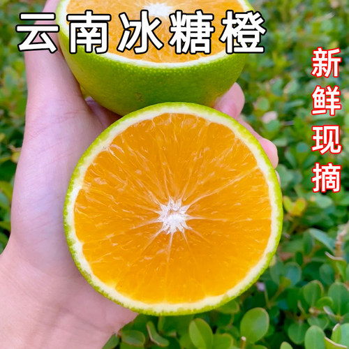 冰糖橙新鲜现摘云南桔橘子