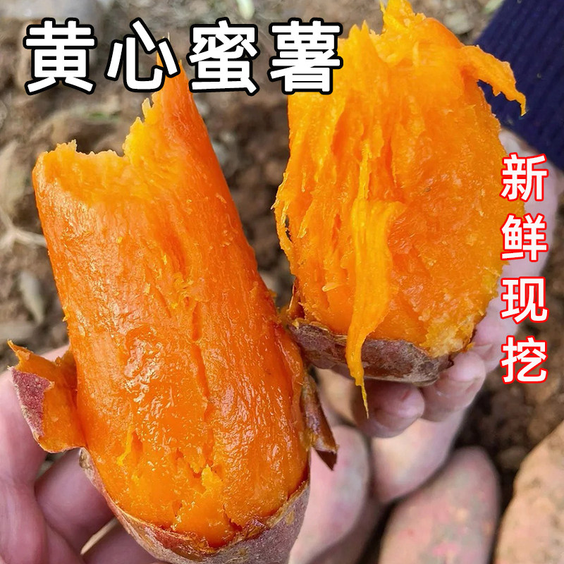 河南黄心蜜薯番薯沙地香薯烤烟地瓜红苕红糖心新鲜西瓜红龙九蕃薯