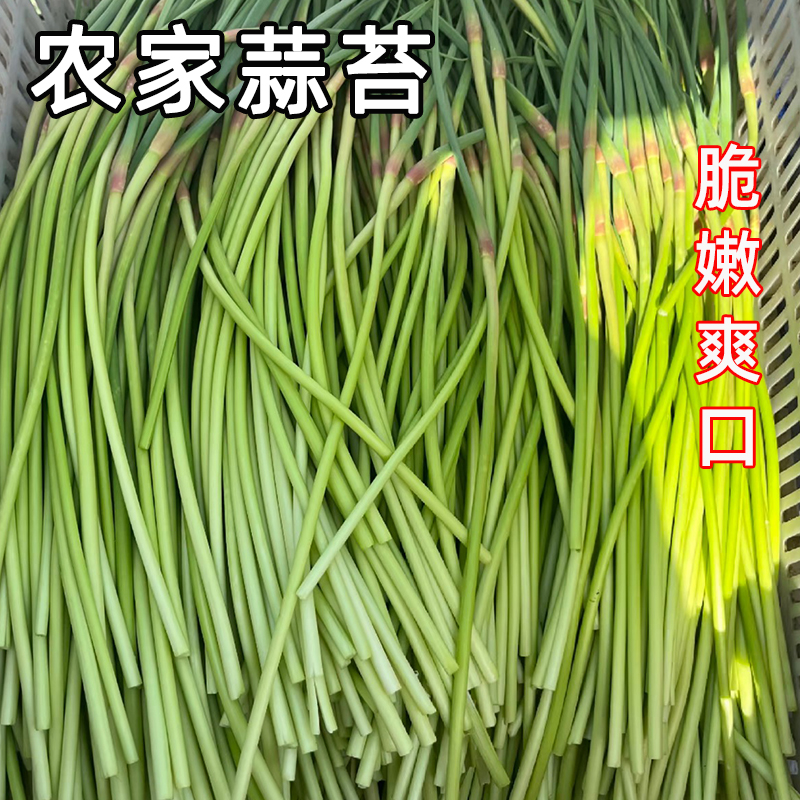 收藏下单 优先发货