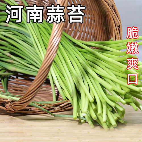 2026新鲜蒜苔河南红帽脆嫩爽口蒜薹当季农家蔬菜短蒜苔5斤整箱