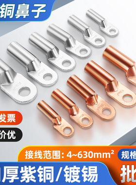 DT铜鼻子铜接头线鼻子8/10/16/25/30/70平方紫铜线耳油堵接线端子