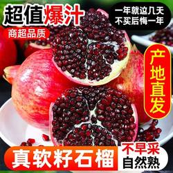 2025正宗河阴石榴新鲜现摘突尼斯软籽新鲜整箱当季红宝石无籽现摘