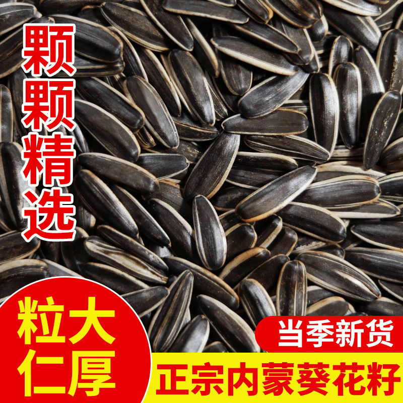 原味瓜子熟葵花籽新货炒熟瓜子葵瓜子香瓜子散装炒货批发零食坚果