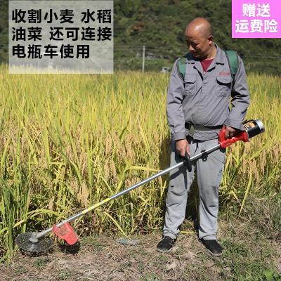 lawn mower Electric Cordless Grave Weeder new pattern household Weed Artifact Open up wasteland wood small-scalein the Flower delivery/Flowers simulation/Plants gardening , Gardening supplies , Mower/Lawn mower  category - from Buy2taobao.com to provide professional Taobao agent buy service