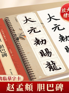 【赵孟頫胆巴碑临摹字卡】成人毛笔书法入门描摹写字帖原碑帖真迹精修高清放大硬壳还原版下笔技巧讲解指导软笔书法纸每日一练字卡