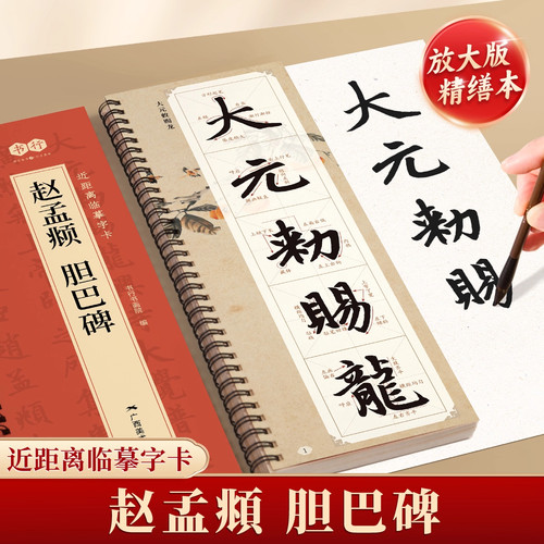 【赵孟頫胆巴碑临摹字卡】成人毛笔书法入门描摹写字帖原碑帖真迹精修高清放大硬壳还原版下笔技巧讲解指导软笔书法纸每日一练字卡