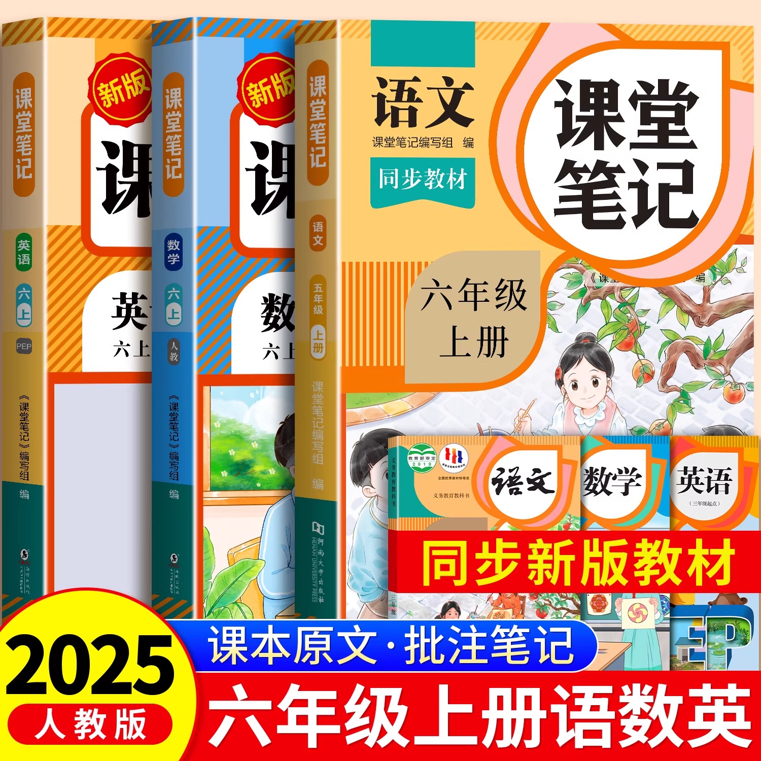 2025年新版六年级上册课堂笔记