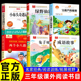 秘密绿野仙踪成语故事经典 25秋班班三年级上册必读课外书正版 小布头奇遇记宝葫芦 两个小八路名家美绘版 乐读兔子坡精编彩图版