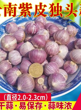 十足干蒜独头蒜云南直发