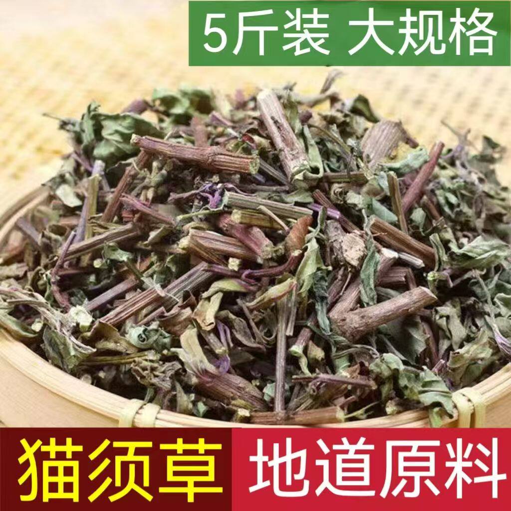 精选猫须草正品新货猫须公干净无杂批发新鲜药材包邮