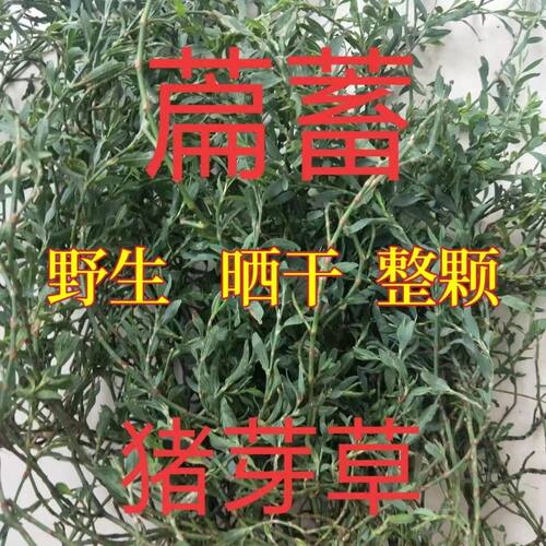 萹蓄 中药材扁蓄百节草扁竹节草七星草500克包邮古干整枝