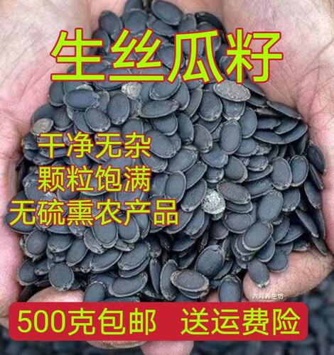 丝瓜籽中药材黑丝瓜籽农产品种子老丝瓜籽500克包邮