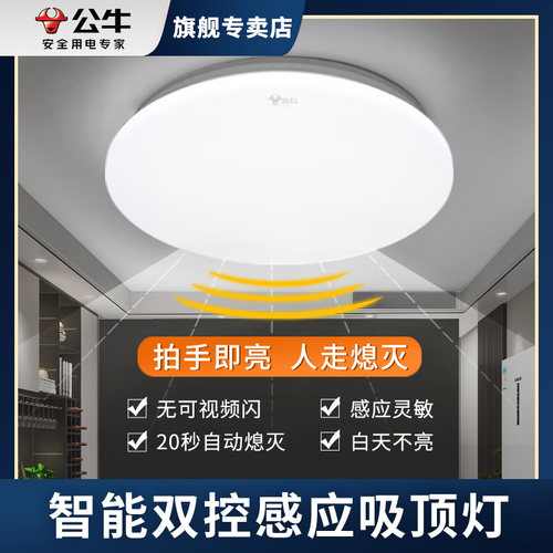 声光控感应/无可视频闪/高显色