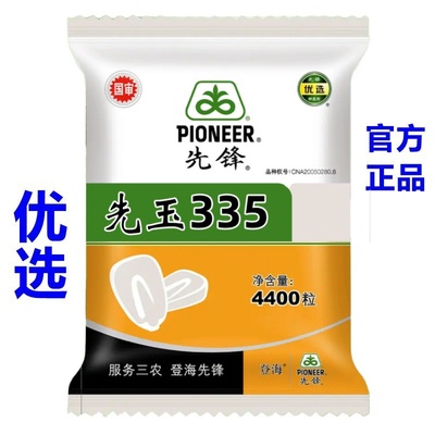 先玉335玉米种子登海先锋