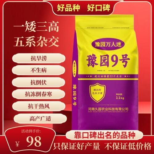 豫园9号小麦种子原种高产矮杆大穗抗倒伏抗病抗寒耐旱冬性小麦