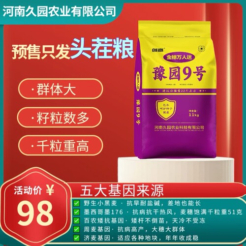 豫园9号小麦种子矮杆抗倒