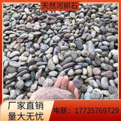 上海厂家直销天然河卵石变电站用鹅卵石鹅卵石滤料河滩石园林绿化