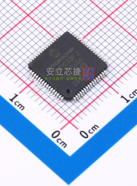 数字信号处理器(DSP/DSC) DSPIC33FJ64GS606-I/PT TQFP-64 MICROC
