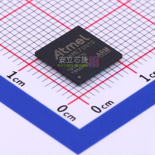 单片机(MCU/MPU/SOC) ATSAME70N19A-CN LFBGA-100 MICROCHIP(微芯