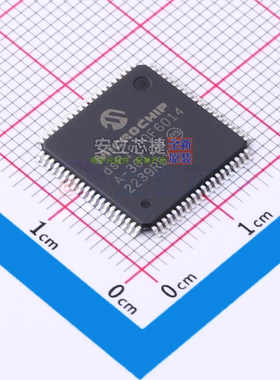 数字信号处理器(DSP/DSC) DSPIC30F6014A-30I/PF TQFP-80 MICROCH