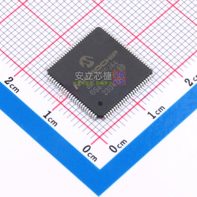 数字信号处理器(DSP/DSC) DSPIC33FJ64GS610-I/PF TQFP-100 MICRO