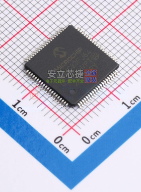 数字信号处理器(DSP/DSC) dsPIC33FJ64GS608-I/PT TQFP-80 MICROC
