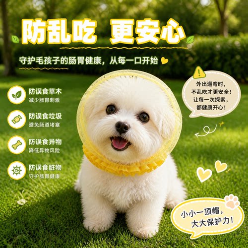 小型犬防乱吃防蚊虫网纱嘴套