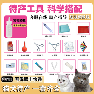 宠物蓝猫怀孕生产包接生工具用品全套套装母猫待产包幼宠吸羊水器