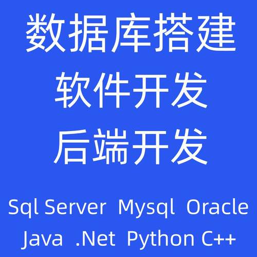 软体定制/数据库开 发搭建/SQL SERVER/API接口/系统定制/后端开