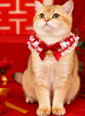 宠物陪嫁装饰猫咪围兜围领结婚喜庆项圈狗狗围脖红色宠物口水巾
