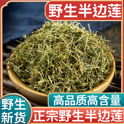 正品野生半边莲中药材500g正宗半边花细米草半边菊瓜仁草半边旗草