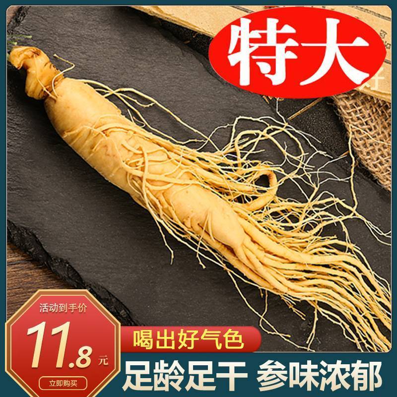 鲜人参东北长白山鲜参野生正品野山参干新鲜泡酒专用人叁白参人生