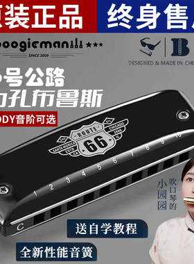 66号公路布鲁斯口琴旗舰店十孔C调PADDY调音版蓝调10孔专业口琴