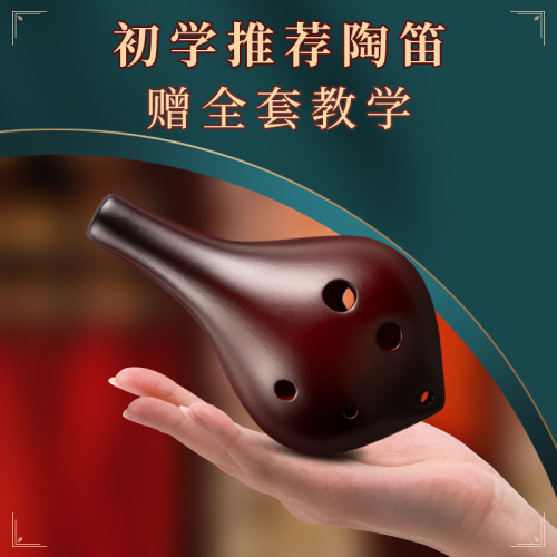 初学入门 六孔学生儿童乐器
