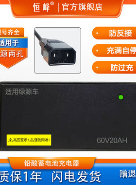 适配绿源电动车充电器两孔反插48V12AH60V20AH72V30E35AH原装接口