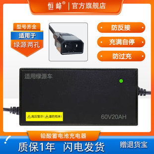 适配绿源电动车充电器两孔反插48V12AH60V20AH72V30E35AH原装 接口