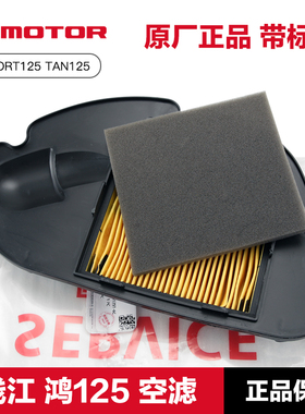 原厂钱江踏板摩托车配件鸿FORT125 TAN125空气滤芯滤清器空滤原装