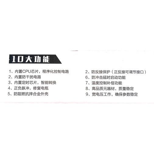 工程工地电动翻斗车手推电瓶车智能养护充电器48V20A