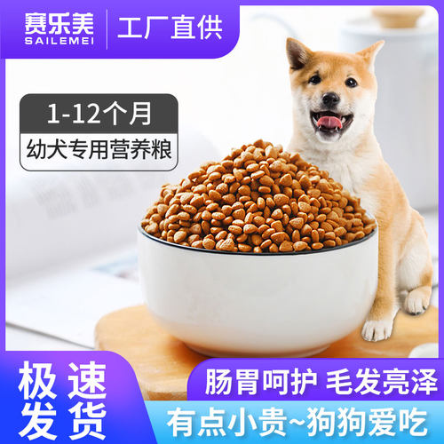 博美幼崽价格 博美幼崽图片 星期三