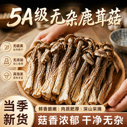 营养师推荐的云南优质特级鹿茸菇