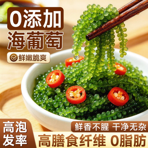 热销榜第一的儿童海葡萄高营养